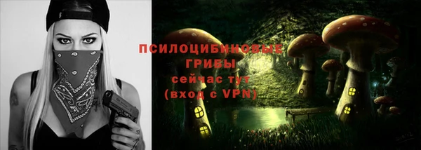 трава Бронницы