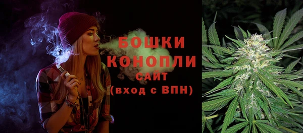 трава Бронницы