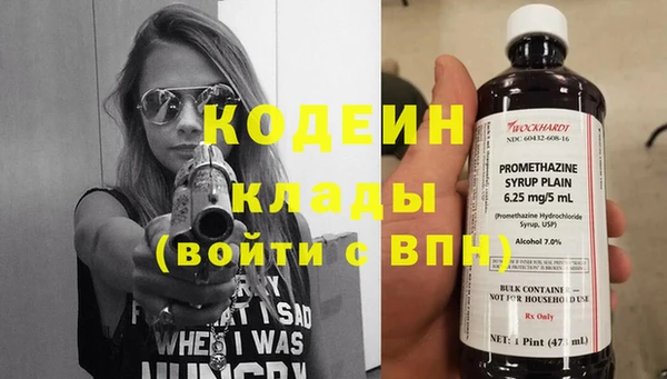 скорость Бородино