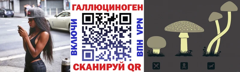 где купить   Клин  OMG вход  Псилоцибиновые грибы мицелий 